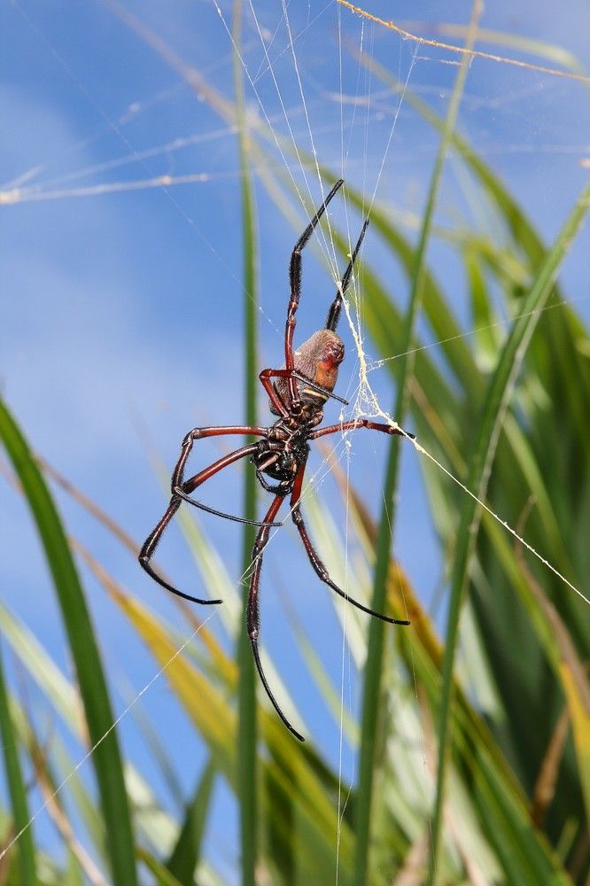 Photograph by Steeve DUBOIS