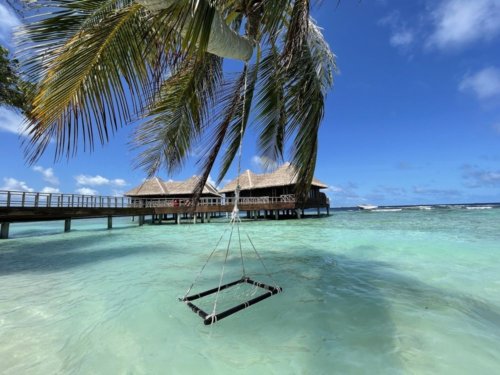 Photograph by Самусева Марина