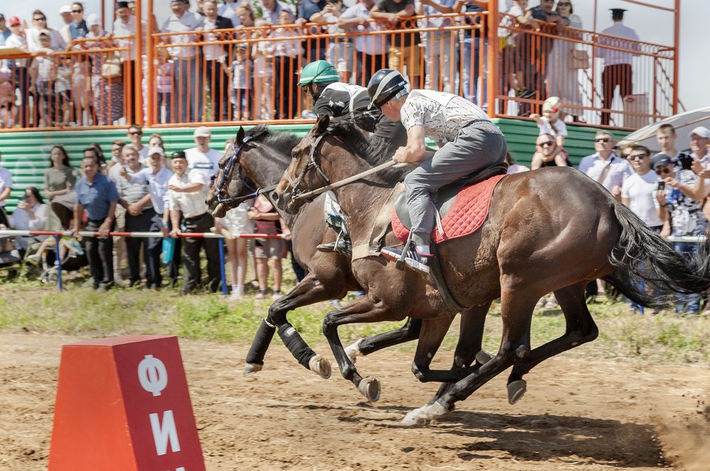 Фотография автора Рамиль Фаттахов