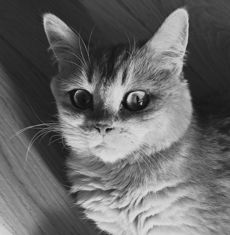 Photograph by Борис Каширин