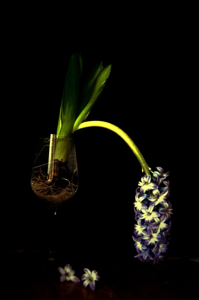 Photograph by Наталья