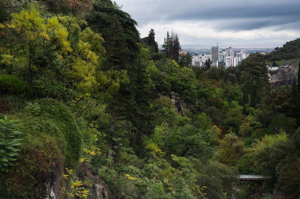 Photograph by Екатерина Карпенко