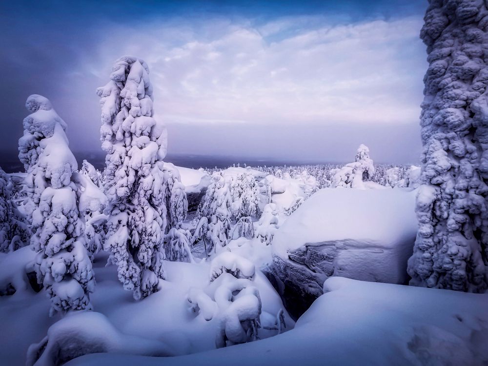 Photograph by Светлана Перминова