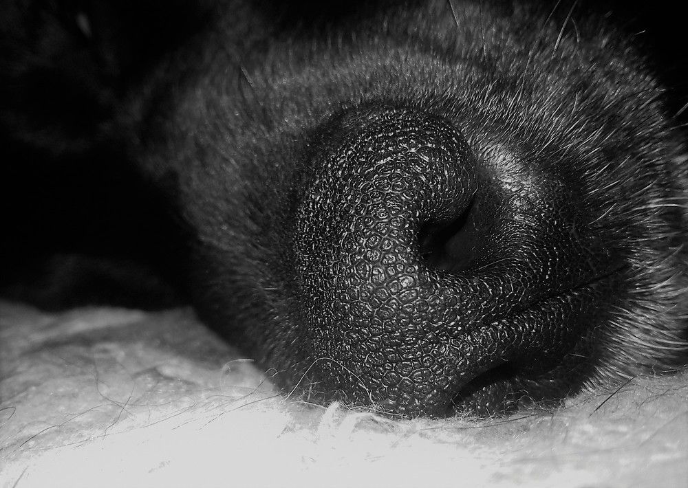 Фотография автора Владислава Андрюнина