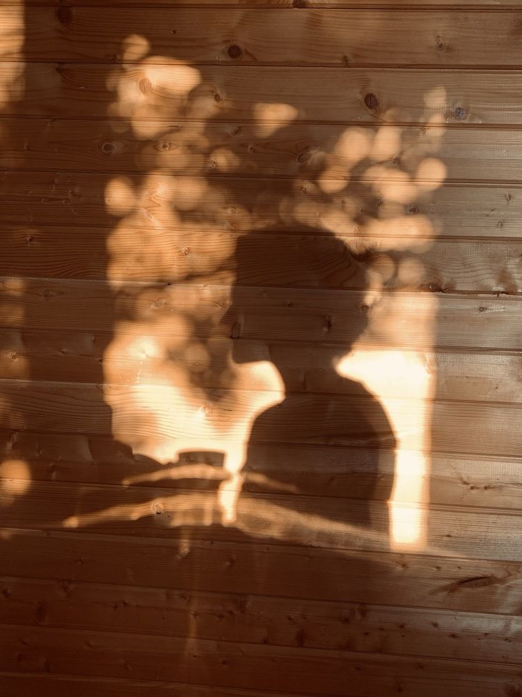 «Тени на воле»