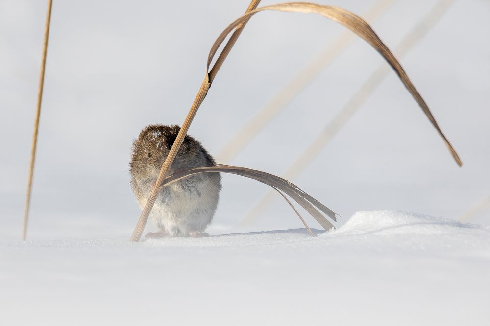 Photograph by Дина Нестеркова
