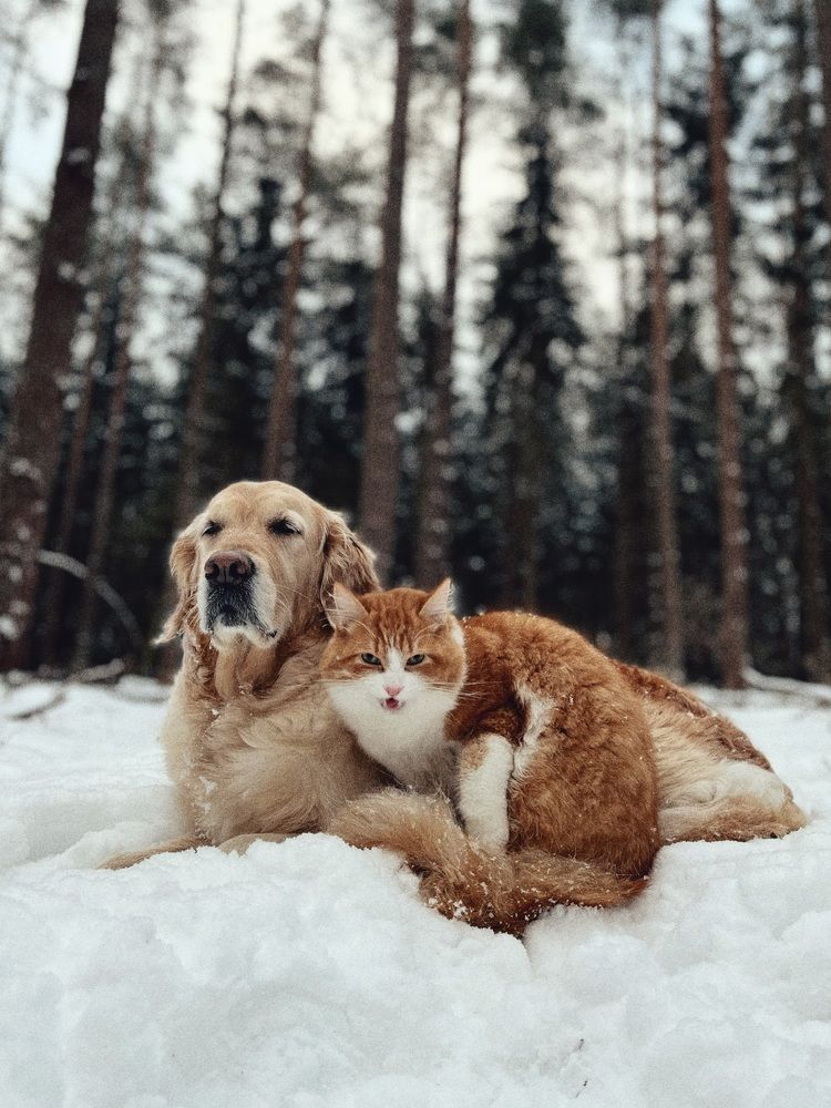 Photograph by Yuliya Altunyuva