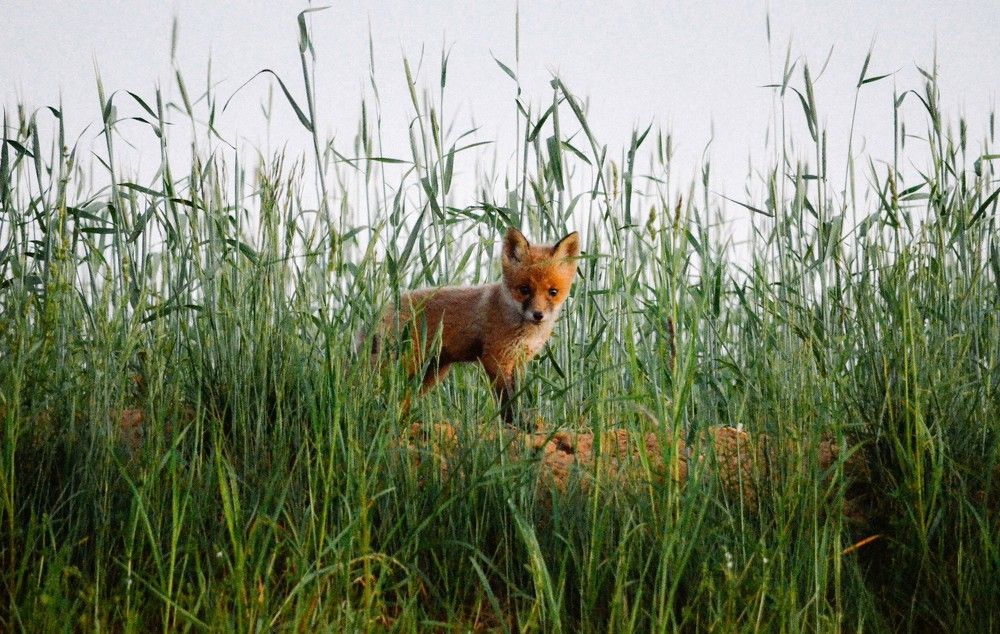 Photograph by игорь герасимовский