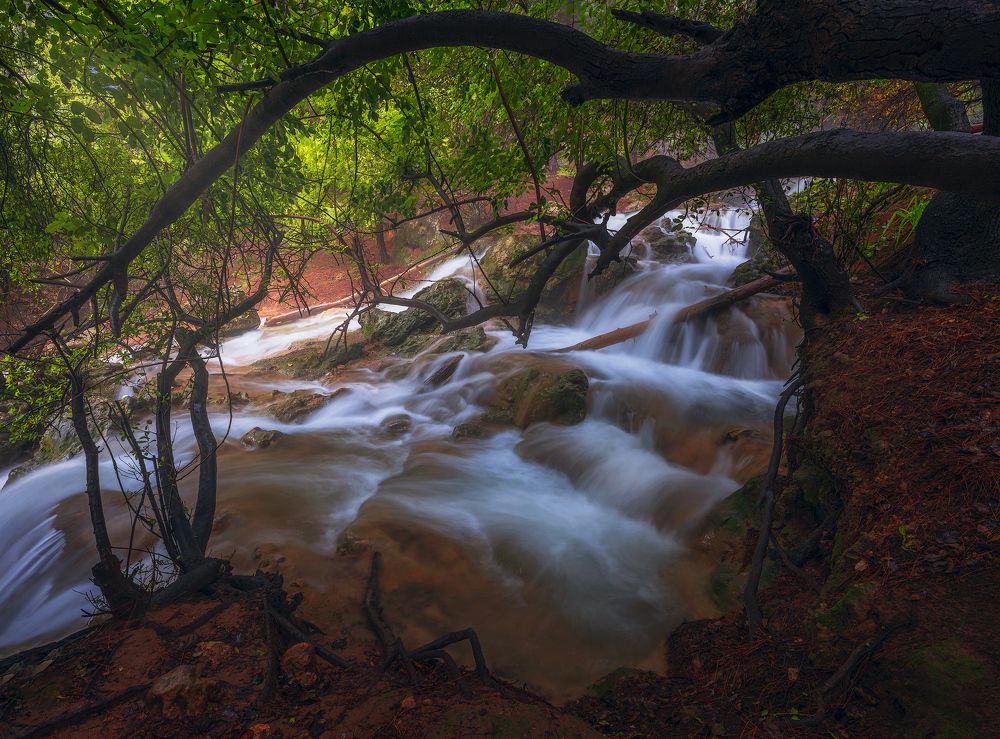 Photograph by Aharon Amram