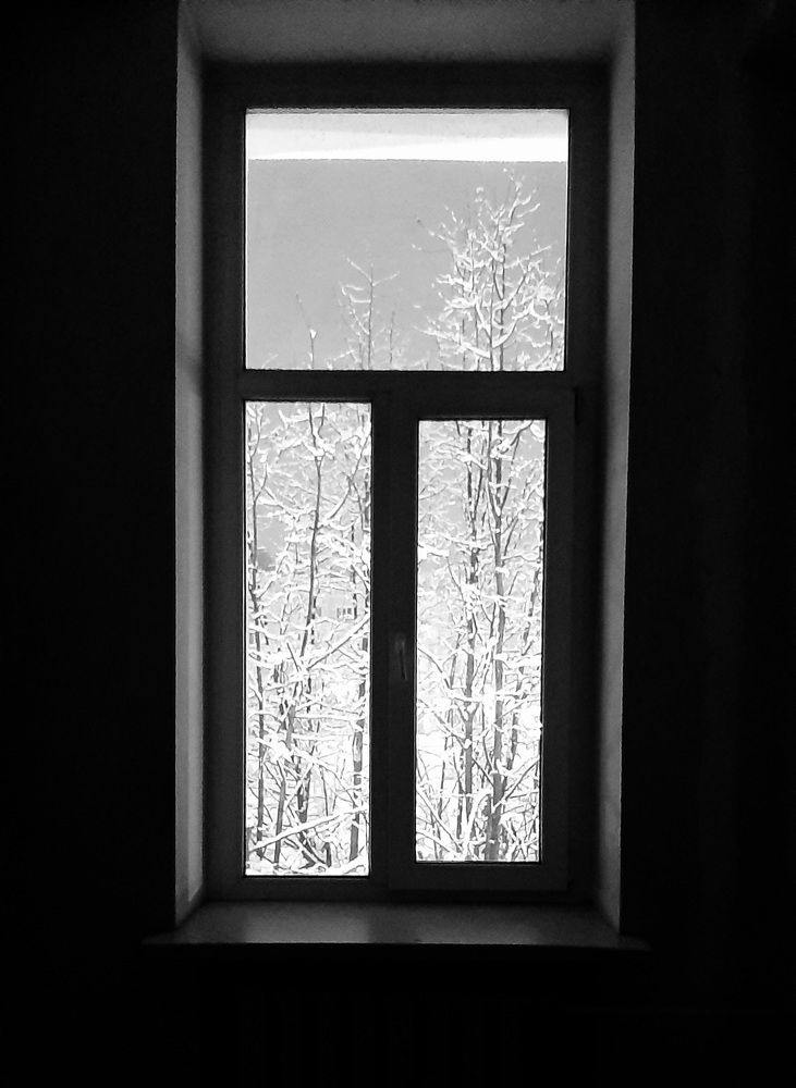 Фотография автора Моисеева Ольга