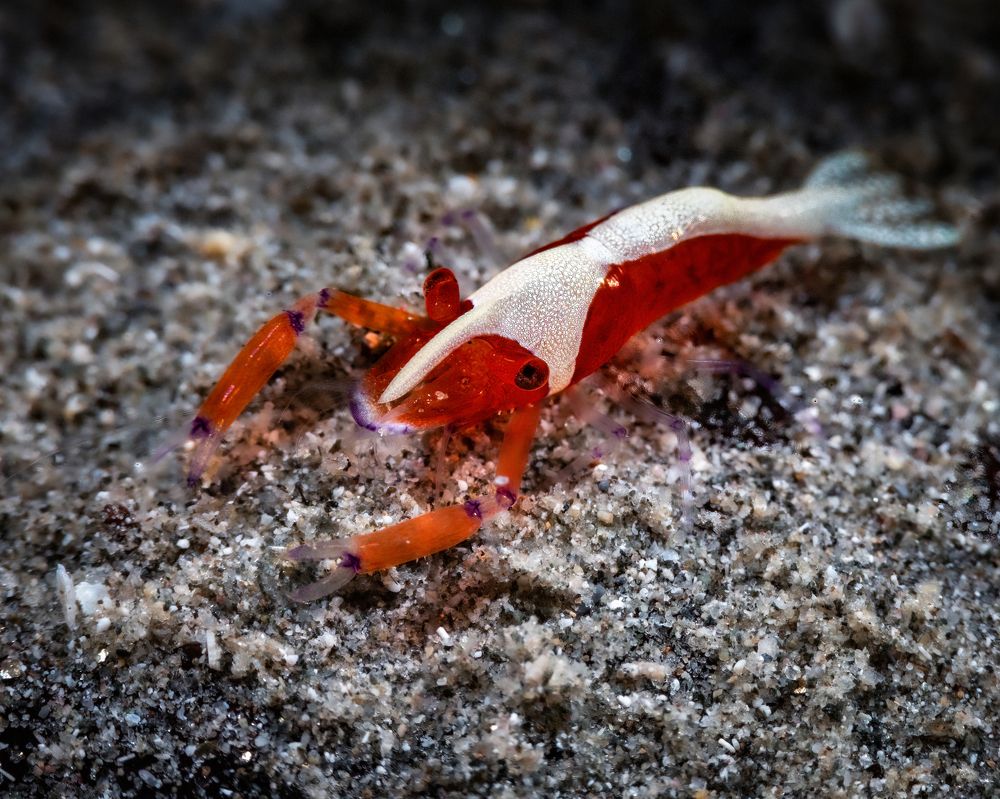 Photograph by Алексей Магай