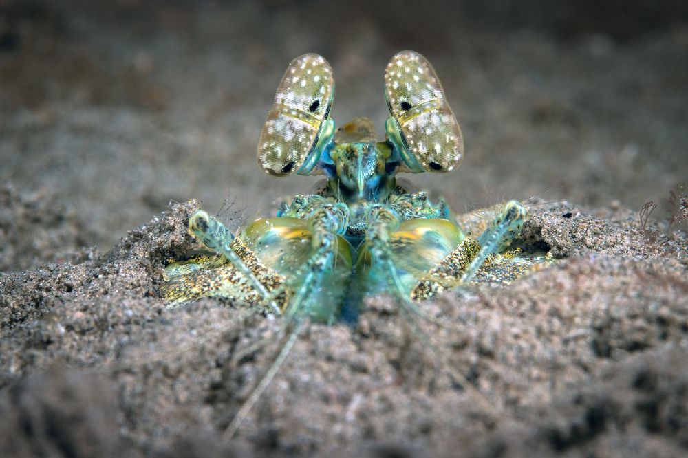 Photograph by Алексей Магай