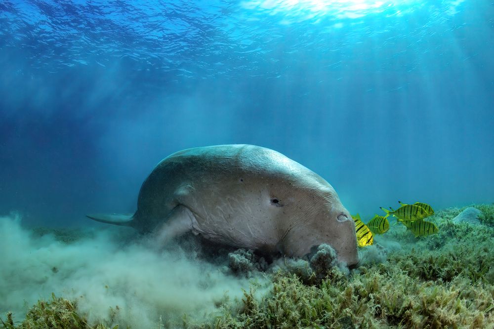 Photograph by Алексей Магай