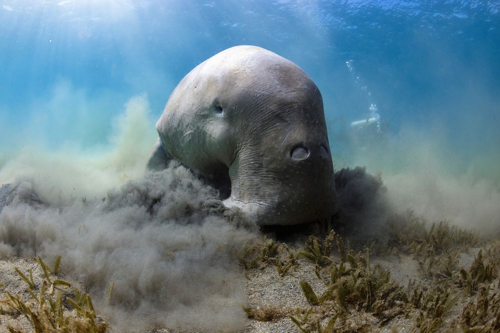 Photograph by Алексей Магай