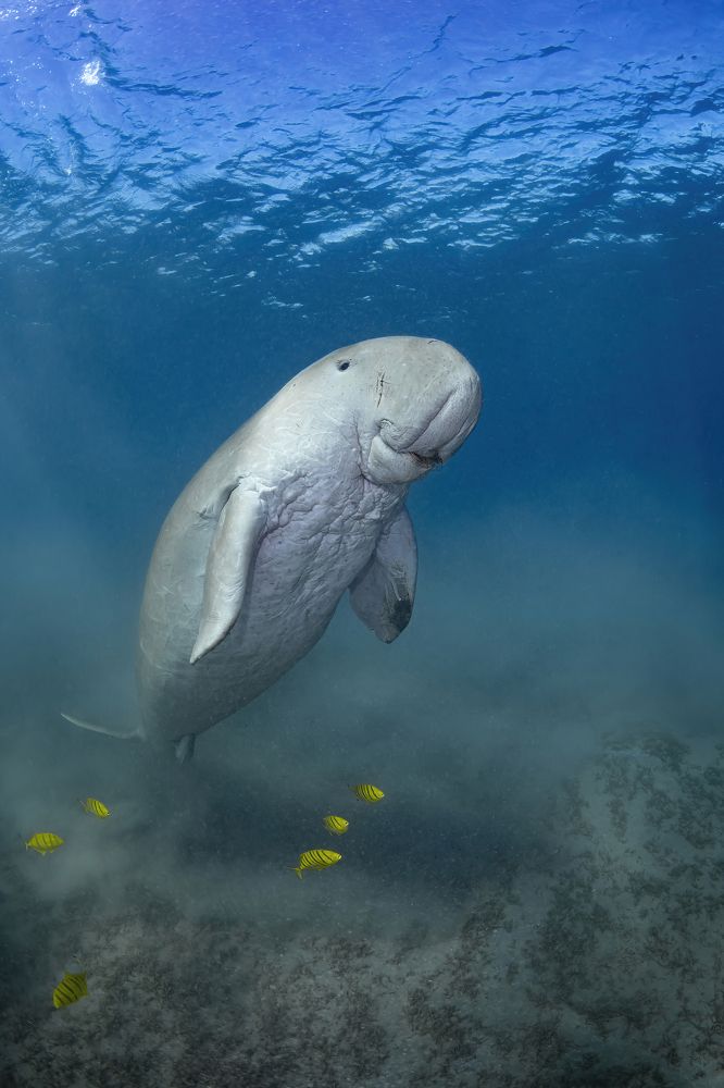 Photograph by Алексей Магай