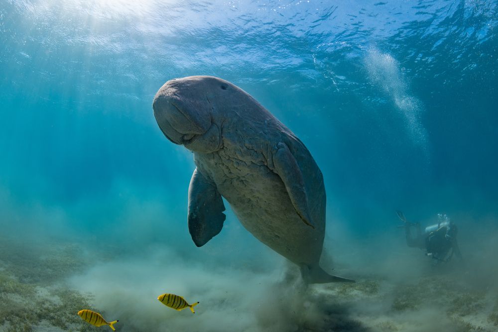 Photograph by Алексей Магай