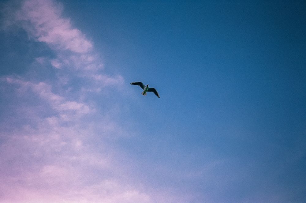 Photograph by Илья Островерхов