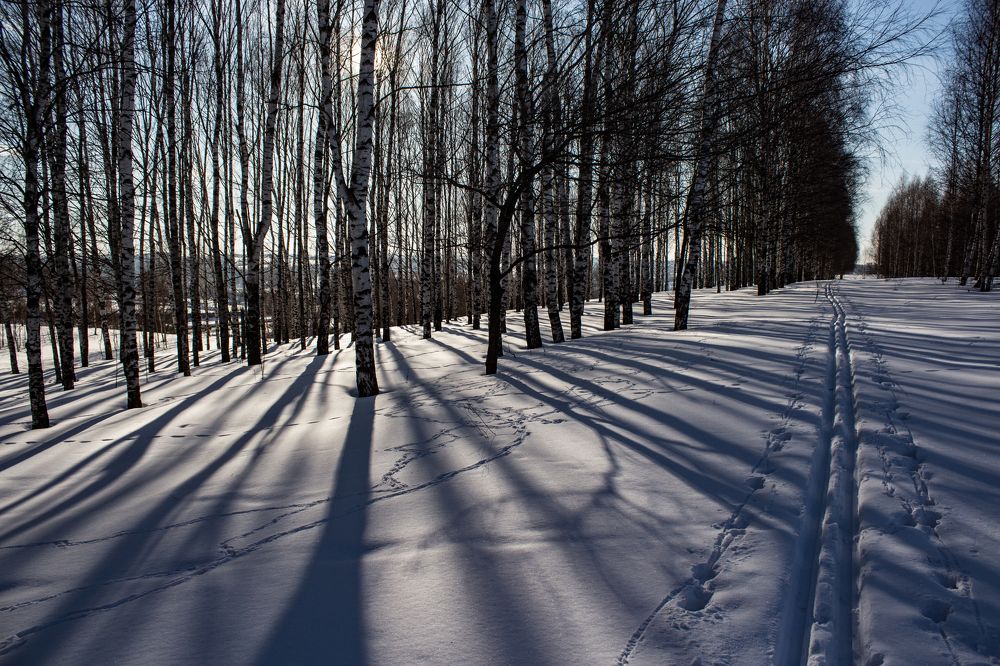 Photograph by Михаил Колосов