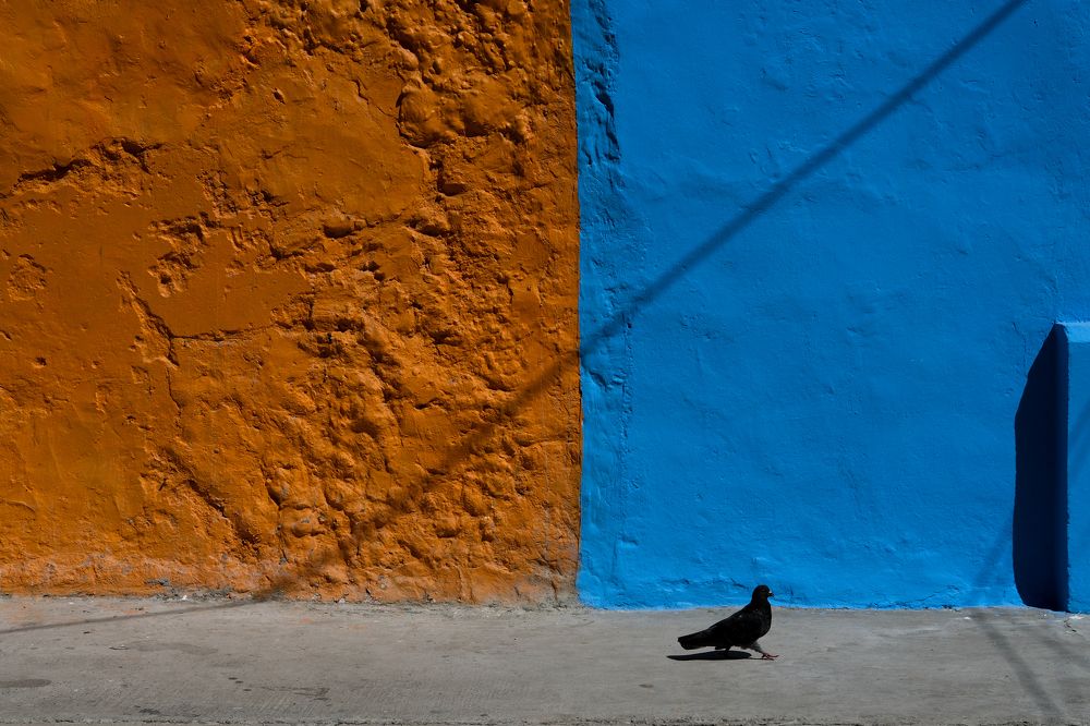 Photograph by Gilberto Alvarez