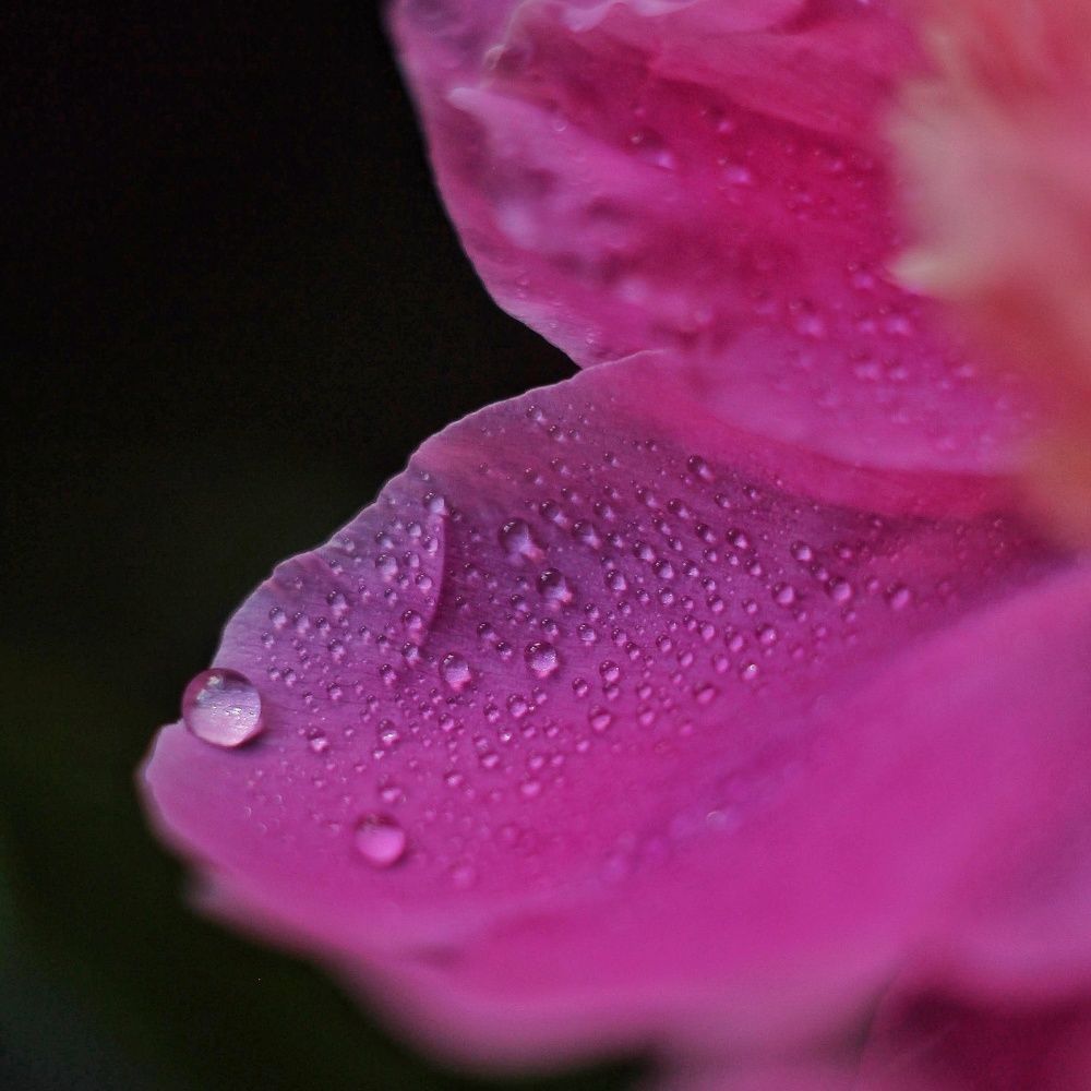 Photograph by Евгения Уманец