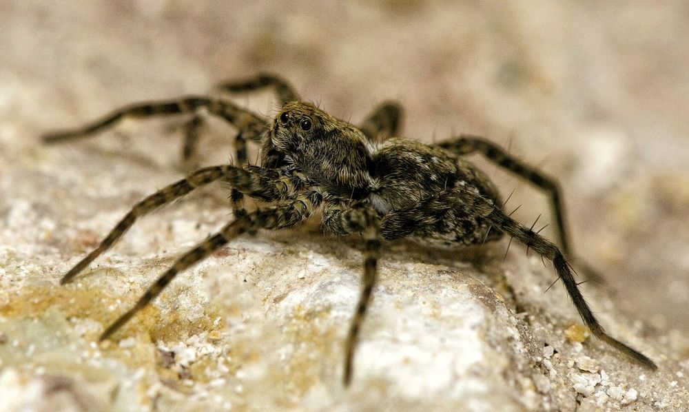 Photograph by Алексей Фомичев