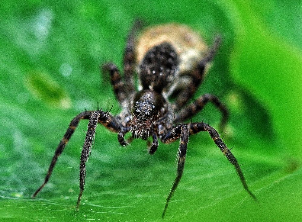 Photograph by Алексей Фомичев