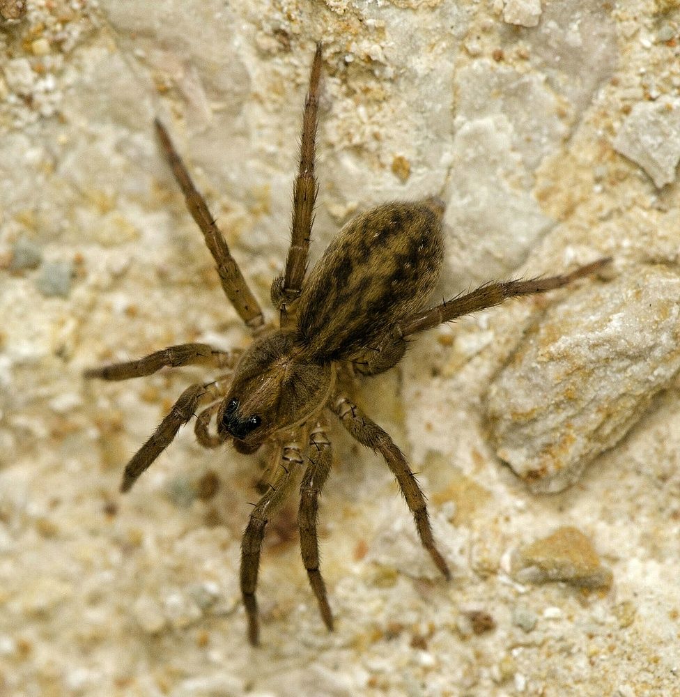 Photograph by Алексей Фомичев