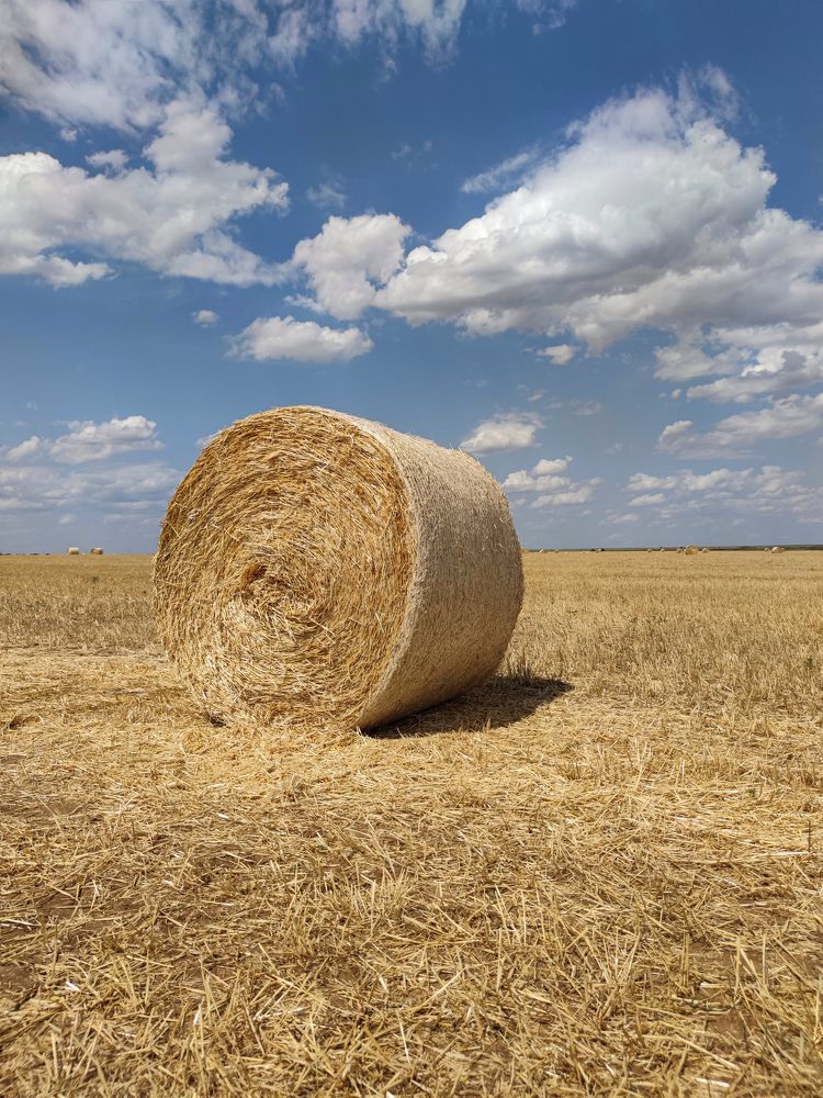 Photograph by Екатерина Зубарева