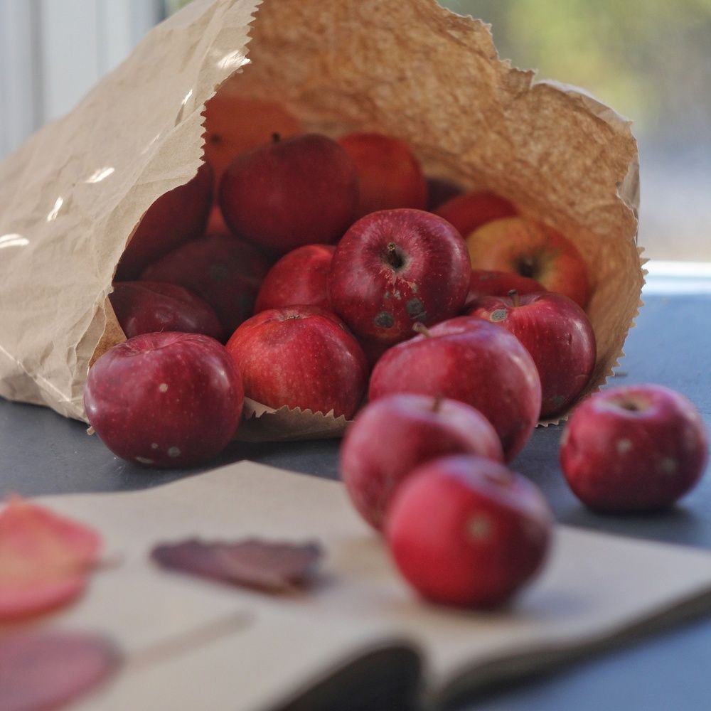 Photograph by Евгения Уманец