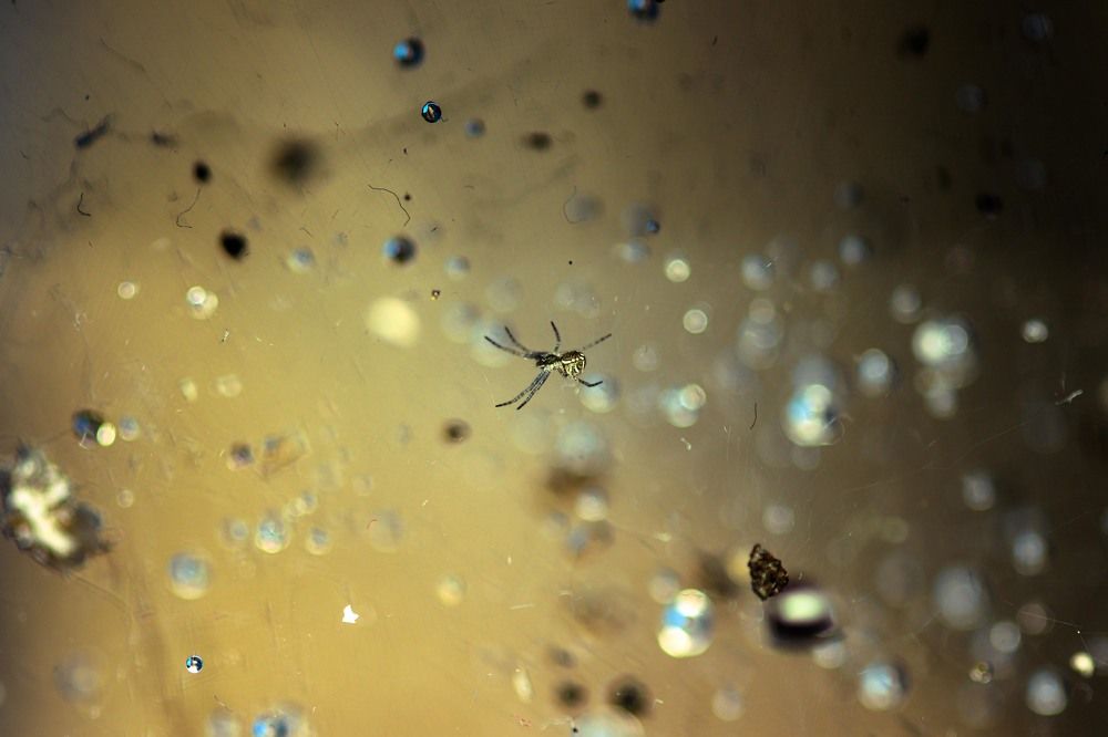 Photograph by Rohit Rajak