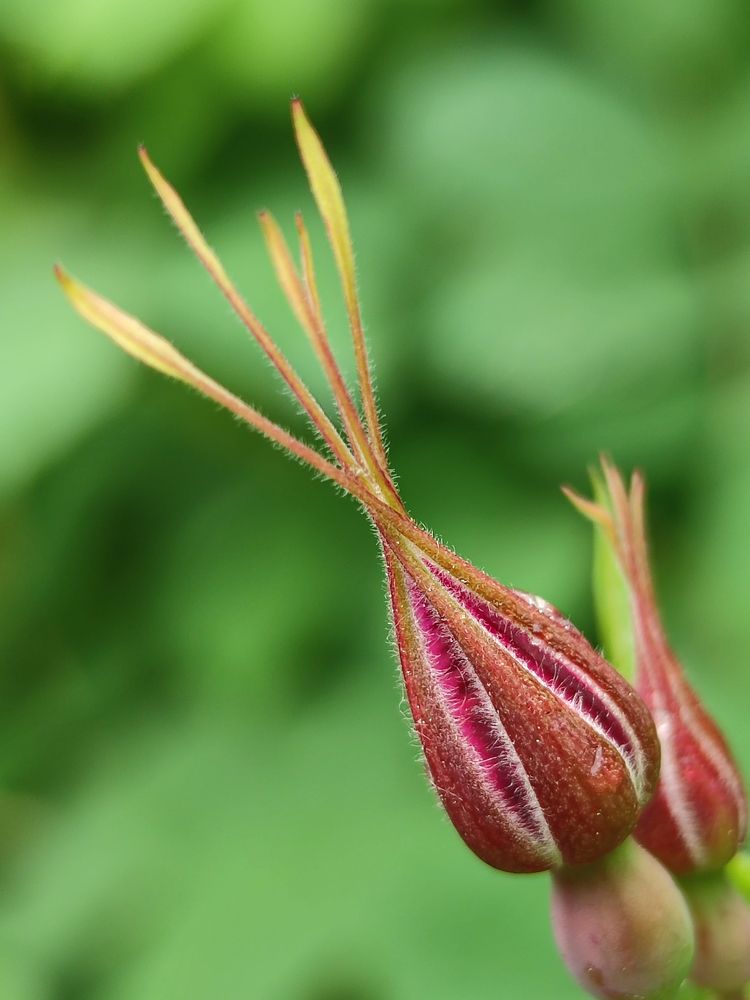 Photograph by Екатерина Зубарева