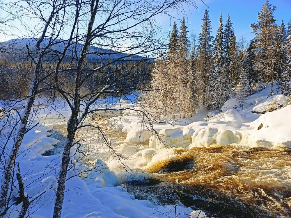 Photograph by Анастасия