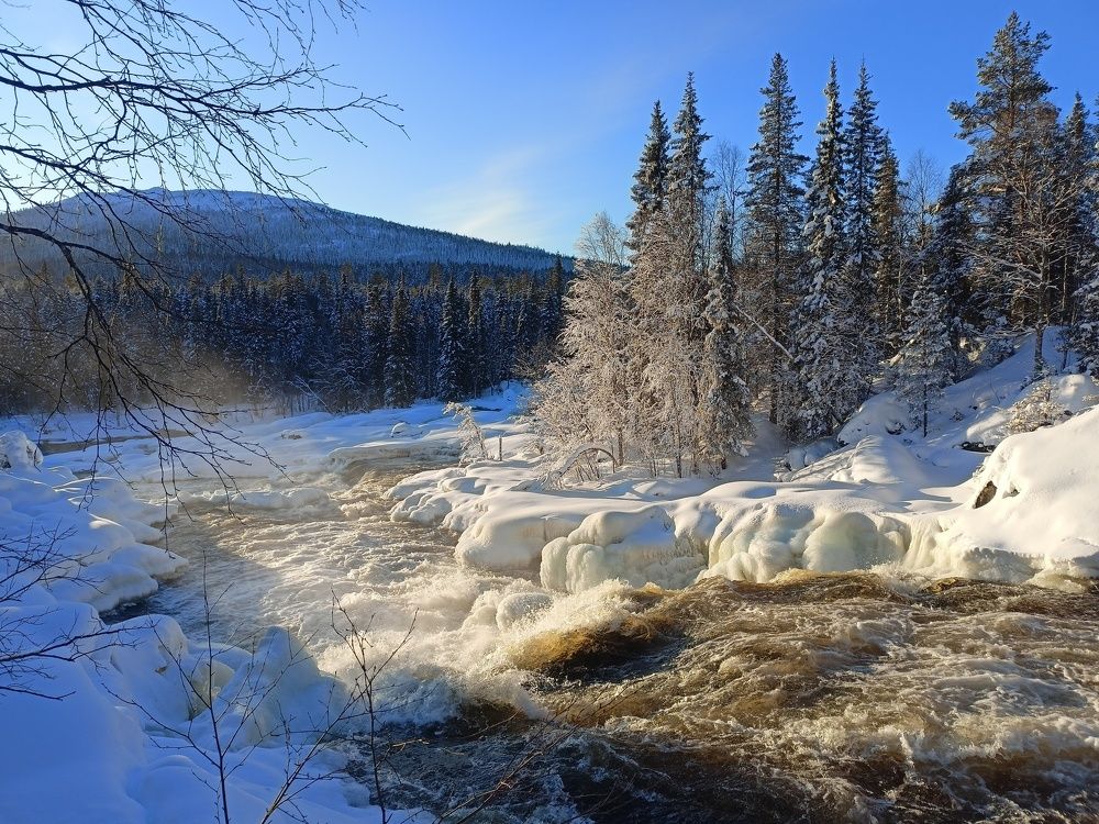 Photograph by Анастасия