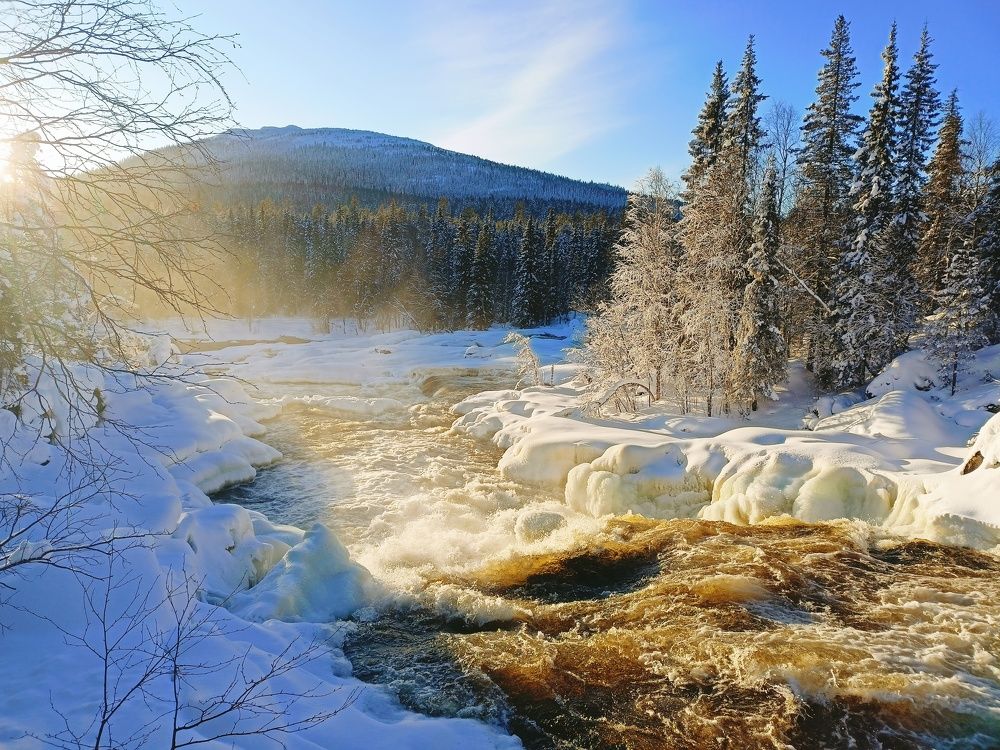 Photograph by Анастасия