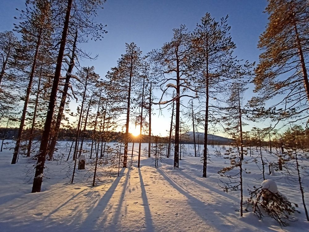 Photograph by Анастасия