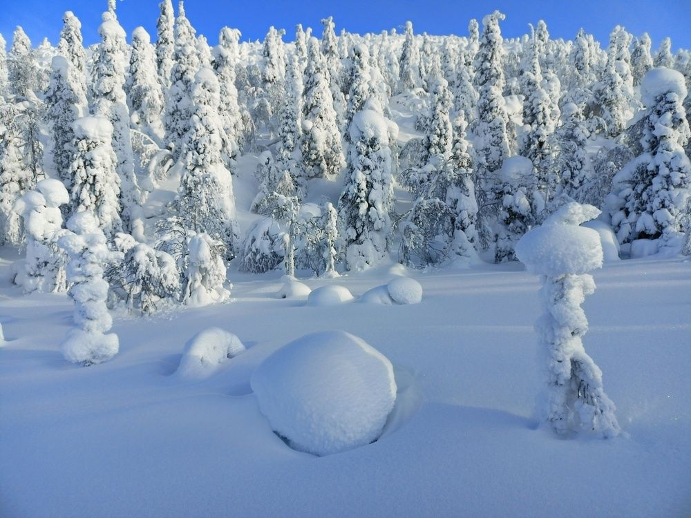 Photograph by Анастасия