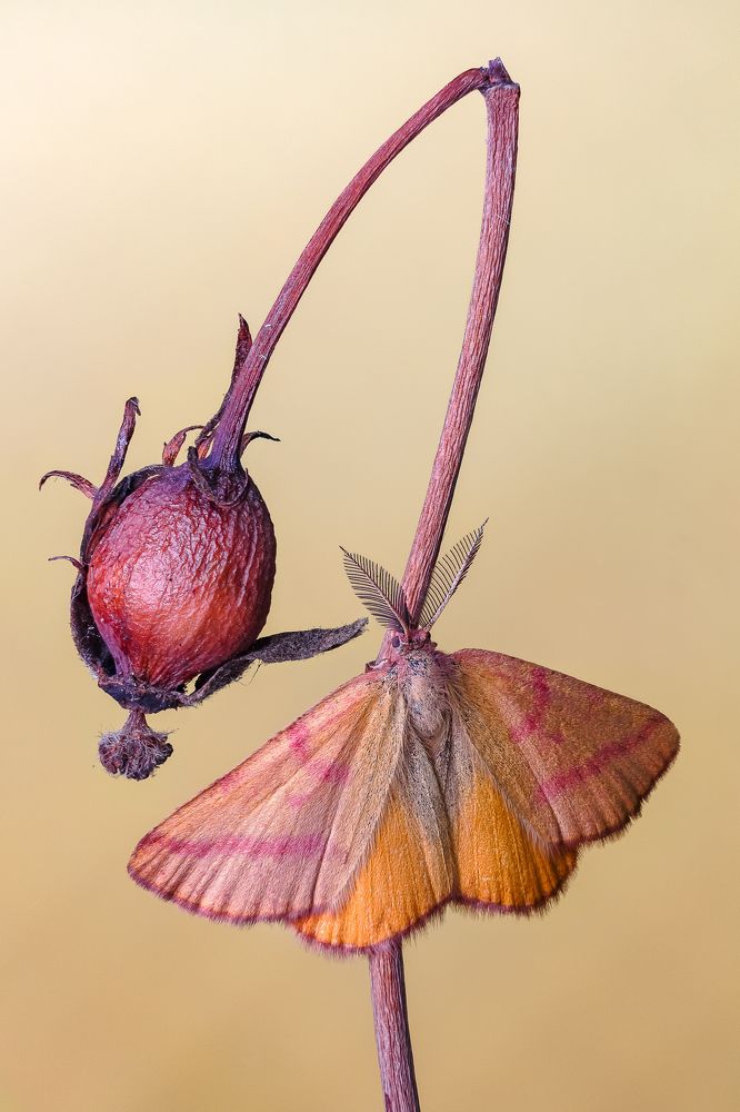 Скоро осень