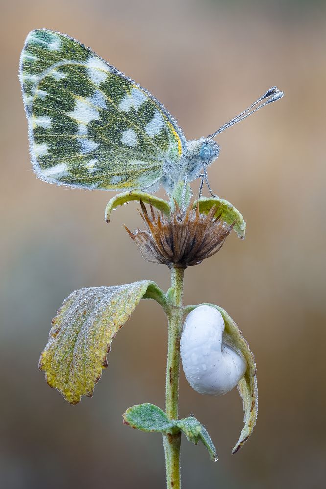 На рассвете