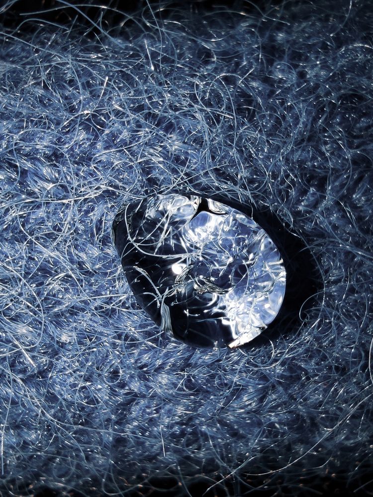 Photograph by Екатерина Зубарева