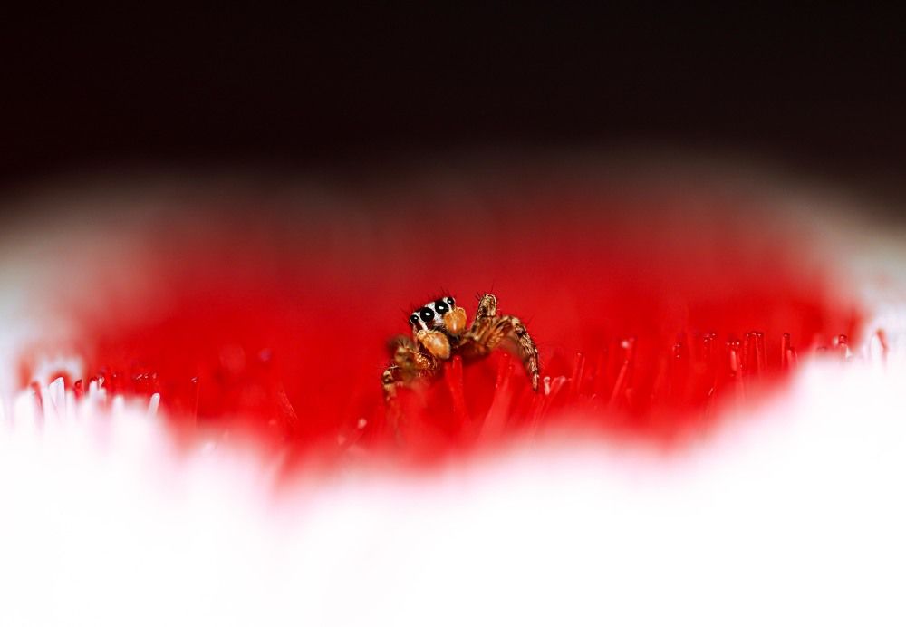 Photograph by Rohit Rajak