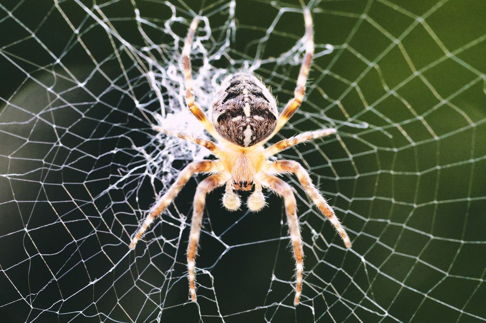 Photograph by Lukasz Szubartowicz