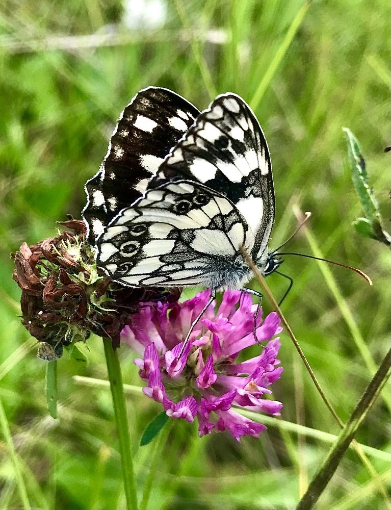 Photograph by Шестакова Наталья
