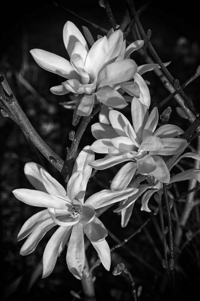 Photograph by Андрей Степанов