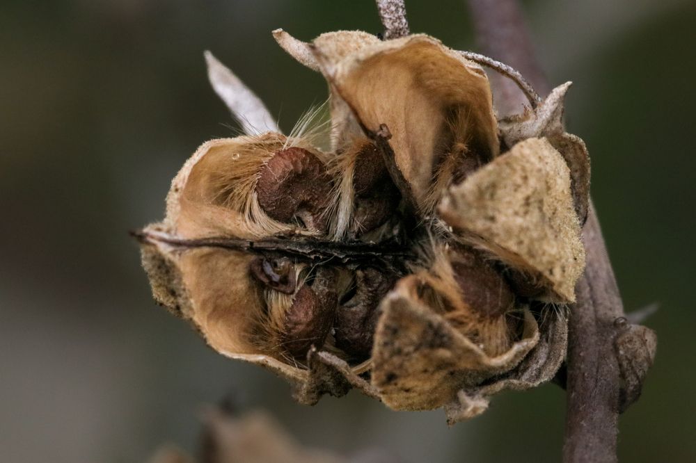 Photograph by Gregor Kobilica