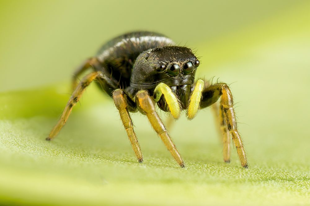 Photograph by Shams Vida