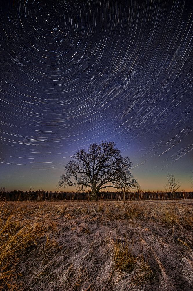 Photograph by Svetlana Dorokhova