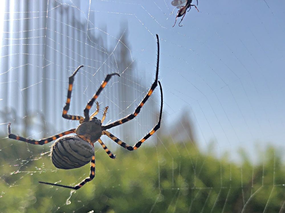 Photograph by Sharir Daniel