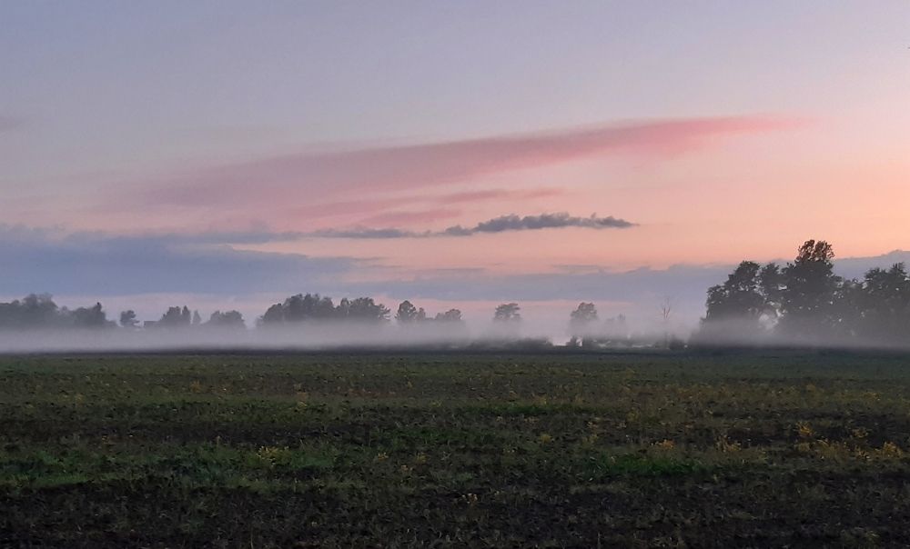 Photograph by Игорь Пахоруков