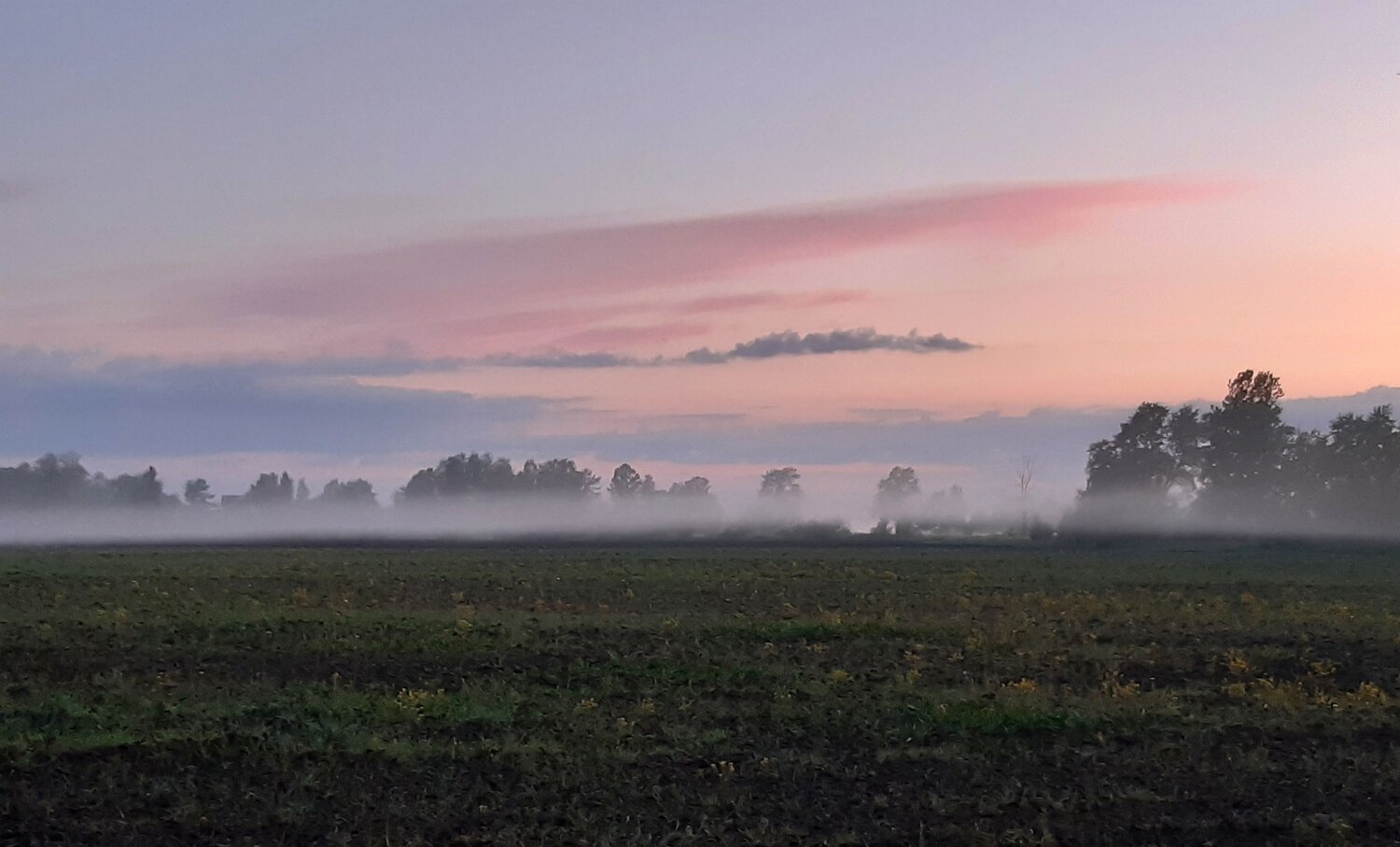 Photo #7285164