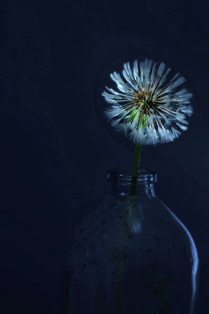 Photograph by Евгения Уманец